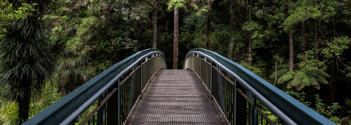 bridge-1200×429